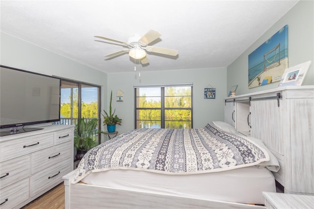 bedroom featuring ceiling fan, light hardwood / wood-style floors, multiple windows, and access to outside