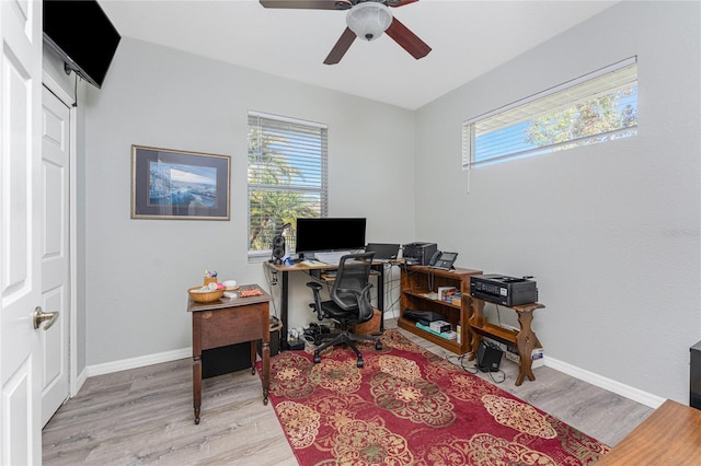 office featuring ceiling fan and light hardwood / wood-style floors