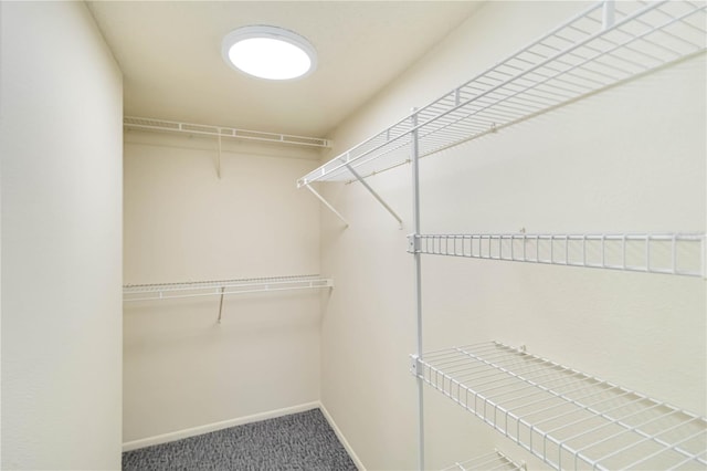 spacious closet with carpet floors