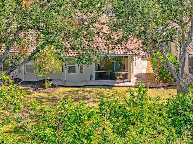 rear view of property featuring a lawn and a patio