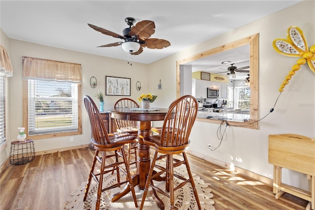 dining space with ceiling fan and light wood-type flooring