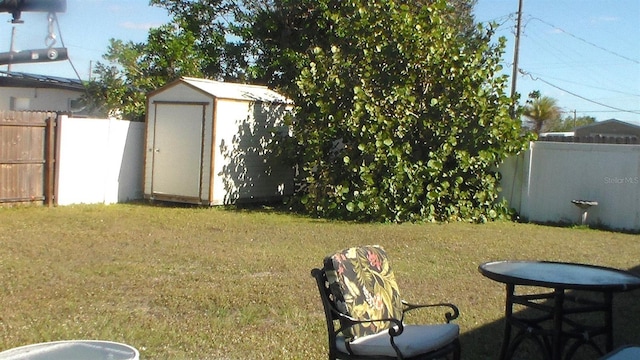 view of yard featuring a shed