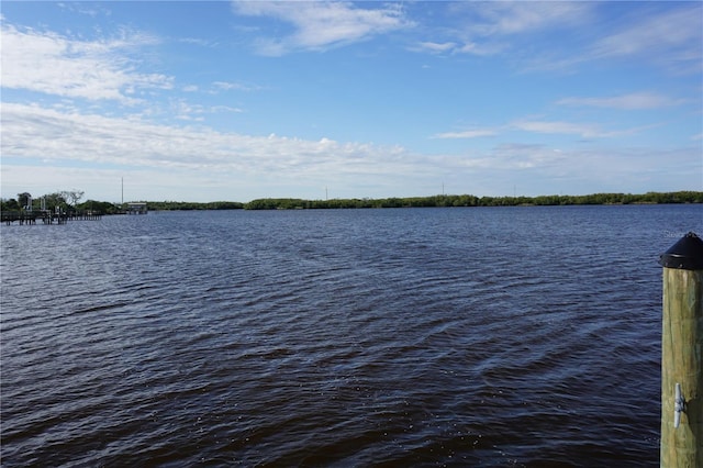 view of water feature