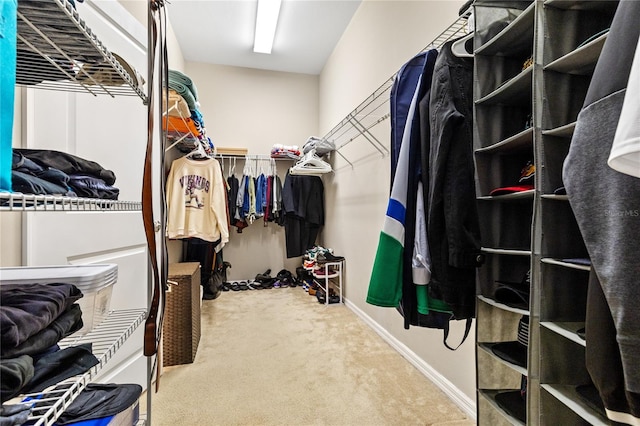 spacious closet featuring carpet