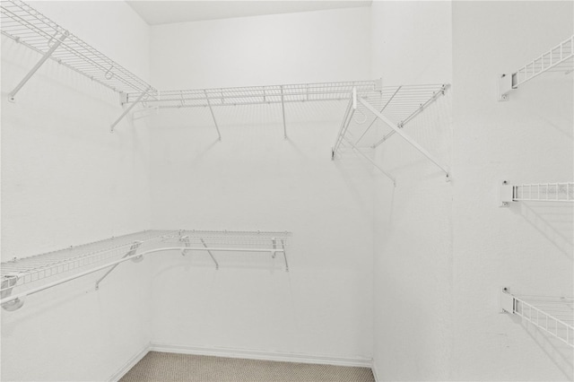 spacious closet featuring light carpet