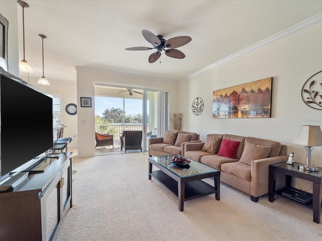 carpeted living room featuring ceiling fan, ornamental molding, and a textured ceiling