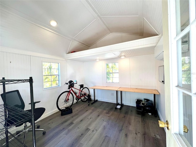 interior space featuring dark hardwood / wood-style flooring and vaulted ceiling