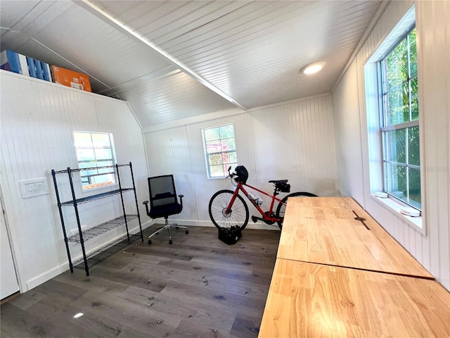 interior space with lofted ceiling and dark hardwood / wood-style floors