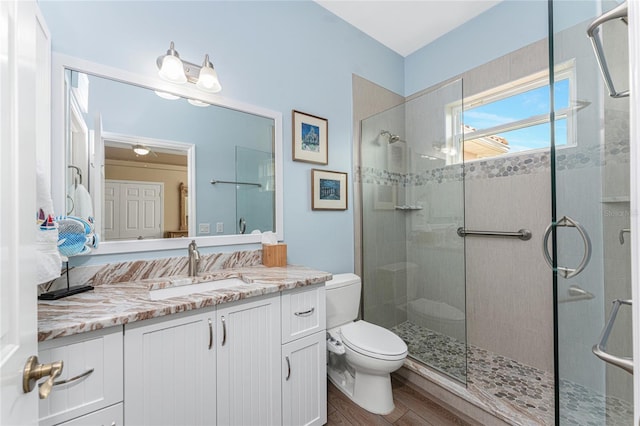 bathroom with vanity, wood-type flooring, a shower with door, and toilet