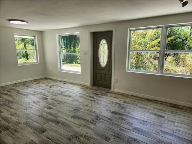 foyer entrance featuring light hardwood / wood-style flooring