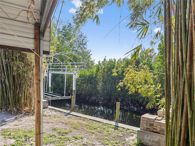 view of yard featuring a water view and a boat dock