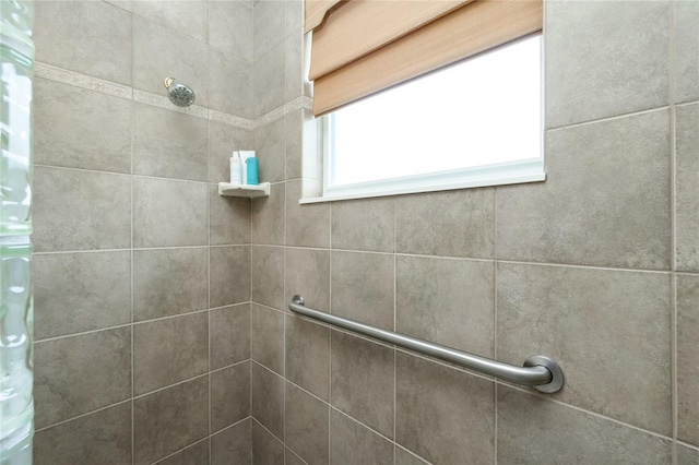 room details with a shower with shower curtain