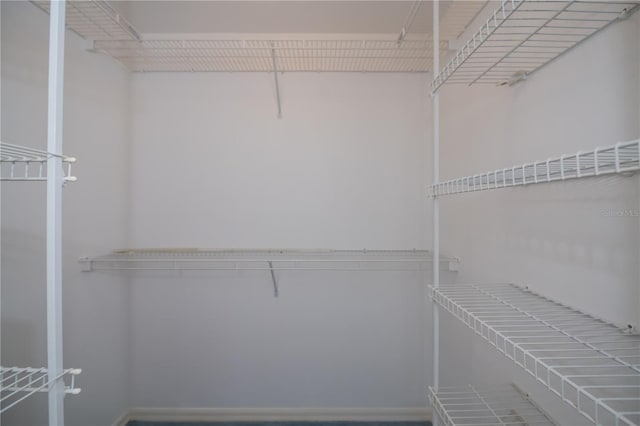 view of walk in closet