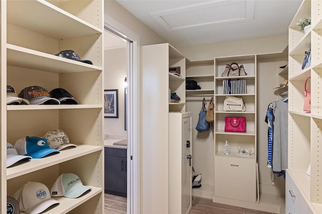 view of walk in closet