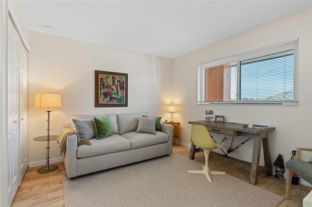 living room featuring hardwood / wood-style floors