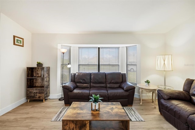 living room featuring light hardwood / wood-style floors