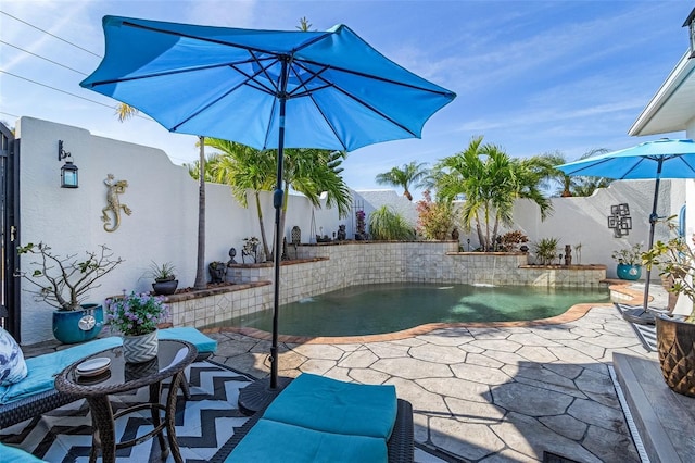 view of pool with pool water feature and a patio