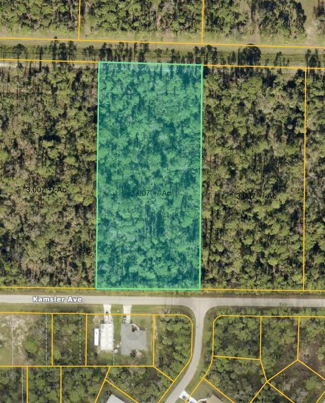 Kamsler Ave, North Port, FL 34286 - photo 5