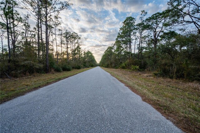 Kamsler Ave, North Port, FL 34286 - photo 9
