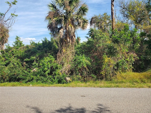 357 Capatola St, Port Charlotte FL, 33948 land for sale