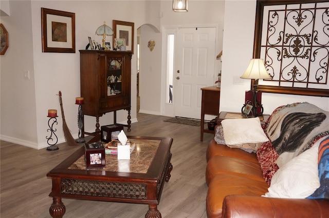 living room featuring hardwood / wood-style floors