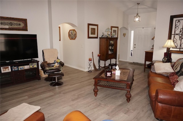 living room featuring hardwood / wood-style floors and a towering ceiling