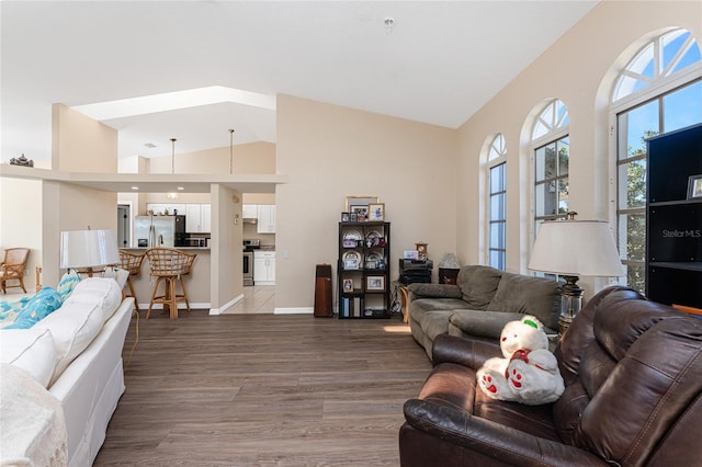 living room with hardwood / wood-style flooring and high vaulted ceiling