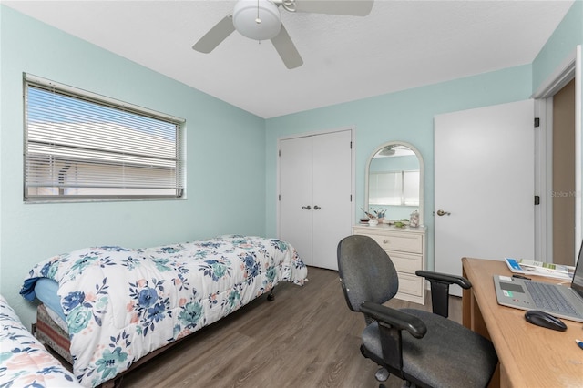 bedroom featuring ceiling fan, dark hardwood / wood-style flooring, and a closet