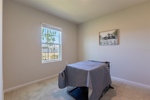 bedroom featuring light carpet