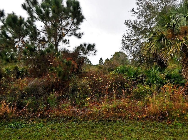 Listing photo 3 for Lenape Ln, North Port FL 34291