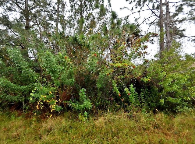 Listing photo 3 for Florida Ter, North Port FL 34291