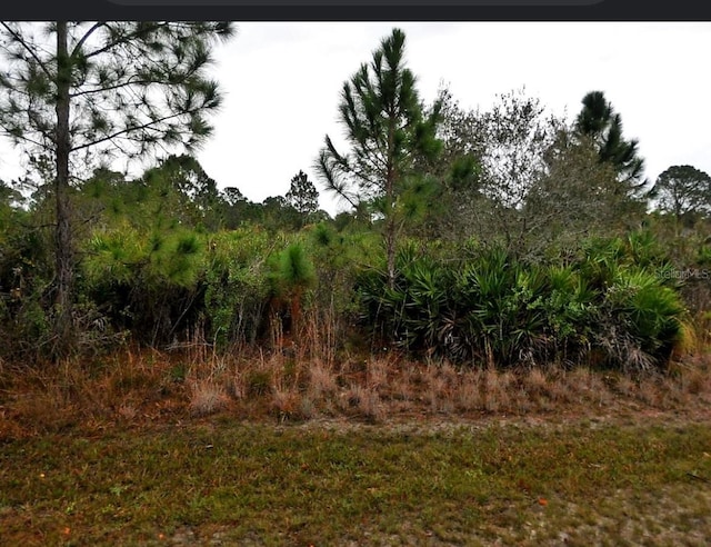 Listing photo 3 for Pennsylvania Ave, North Port FL 34291