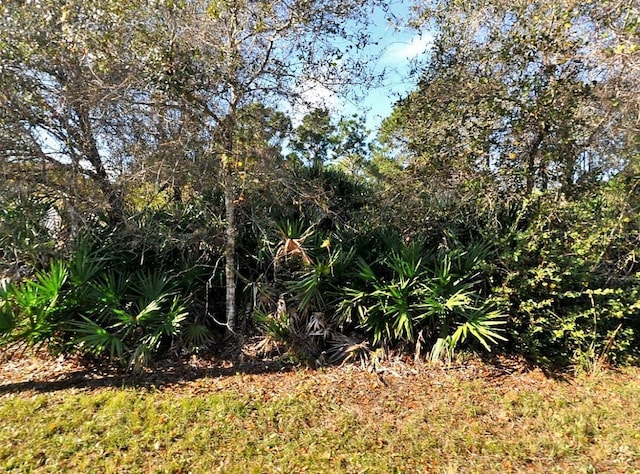 Listing photo 3 for Log Cabin Rd, North Port FL 34291