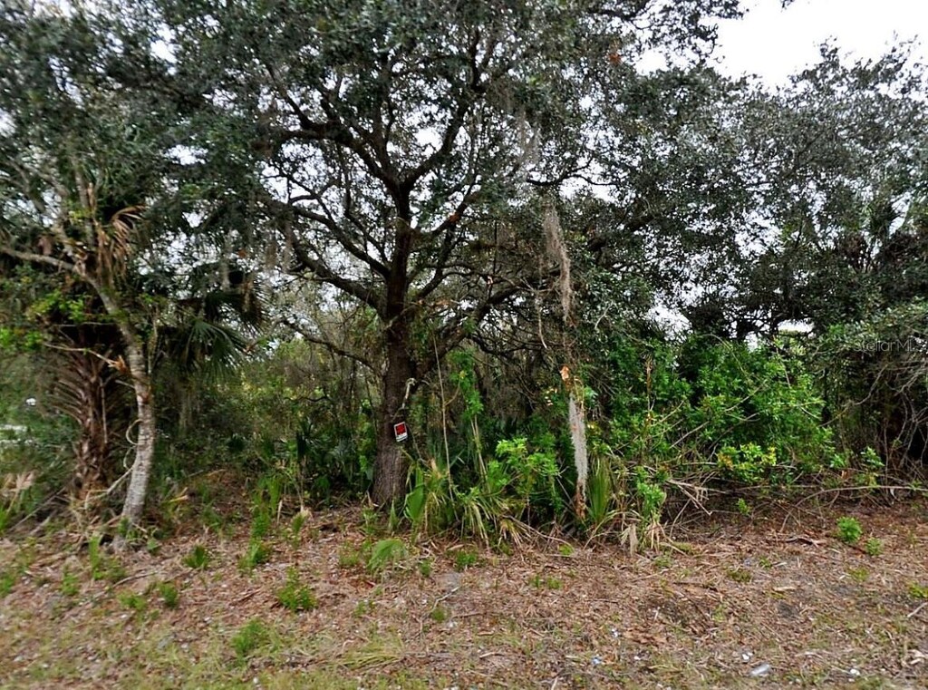 Totem Ave, North Port, FL 34291 - photo 3