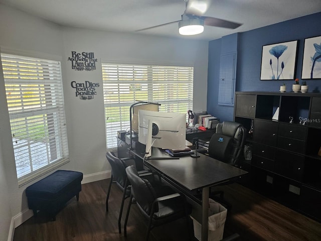 office featuring ceiling fan, dark hardwood / wood-style floors, and a healthy amount of sunlight