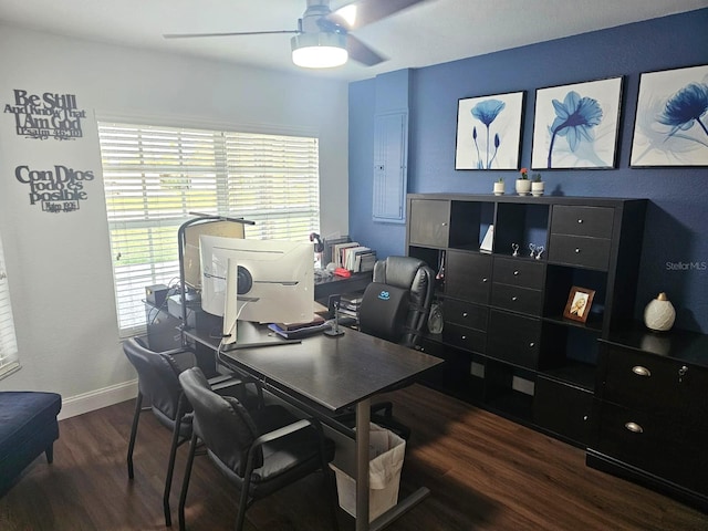 office area featuring dark hardwood / wood-style flooring and ceiling fan