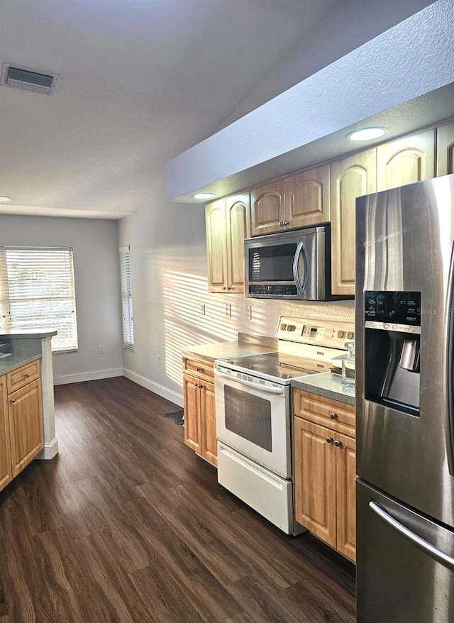 kitchen featuring decorative backsplash, dark hardwood / wood-style floors, and appliances with stainless steel finishes