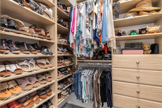 view of walk in closet