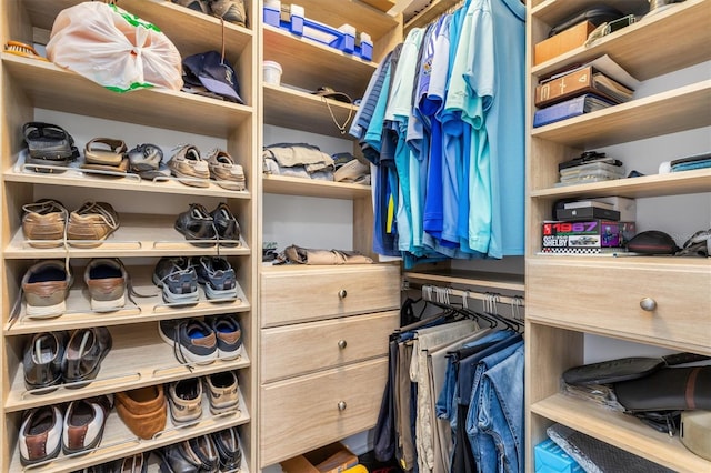 view of spacious closet