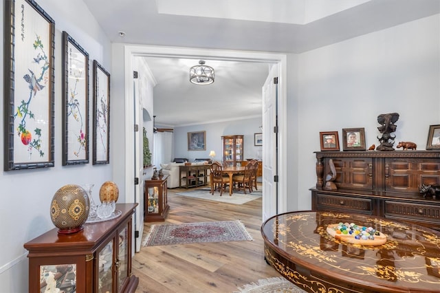 corridor featuring crown molding and light hardwood / wood-style flooring