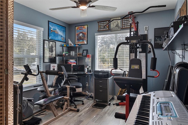 office with ceiling fan and light wood-type flooring