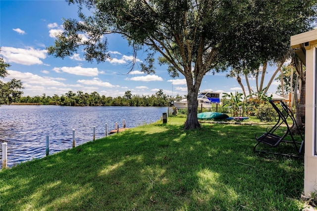 view of yard with a water view and a dock