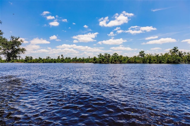 property view of water