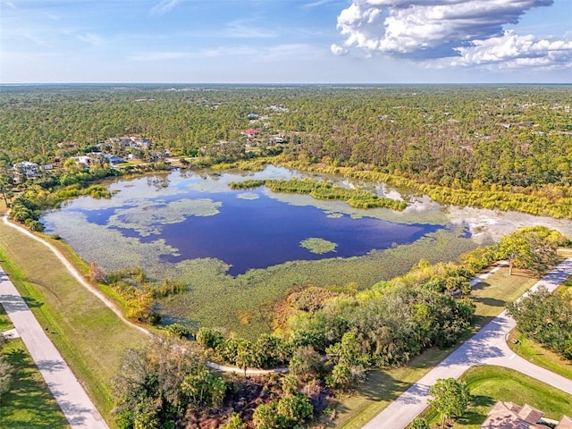 drone / aerial view with a water view and a wooded view