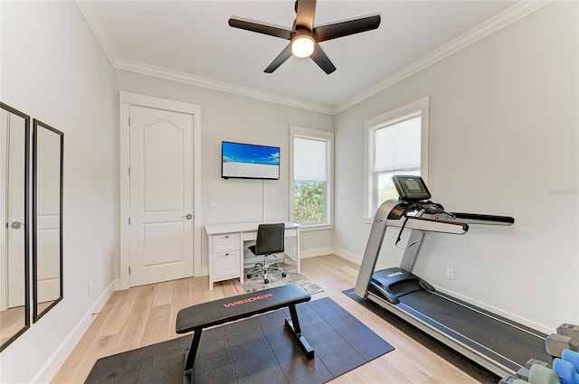 workout room with crown molding, ceiling fan, and light wood-type flooring