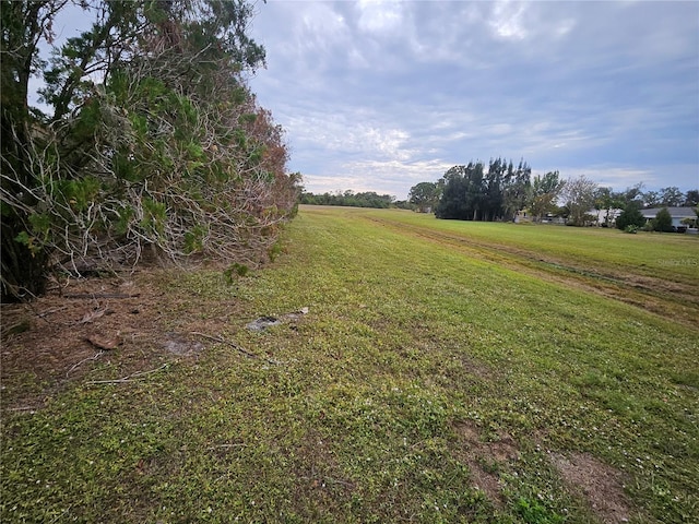 view of yard featuring a rural view