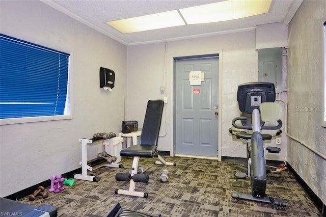 workout room featuring crown molding and electric panel