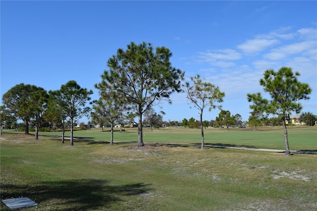 view of property's community with a yard