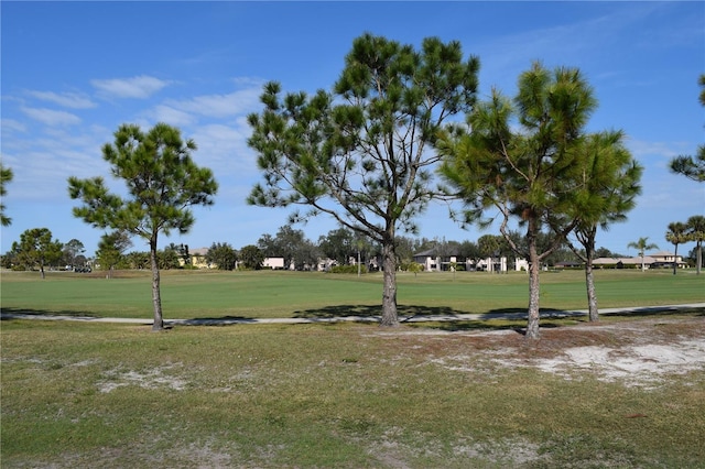 view of community featuring a yard