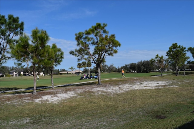 view of home's community featuring a yard